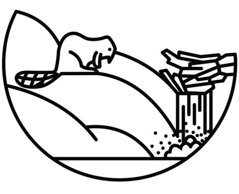 Beaver Dam Coloring Page